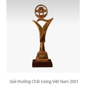 IV. Thành tựu đạt được